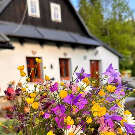 Rozpravkovy Domcek Zvoncek Villa Donovaly Dış mekan fotoğraf
