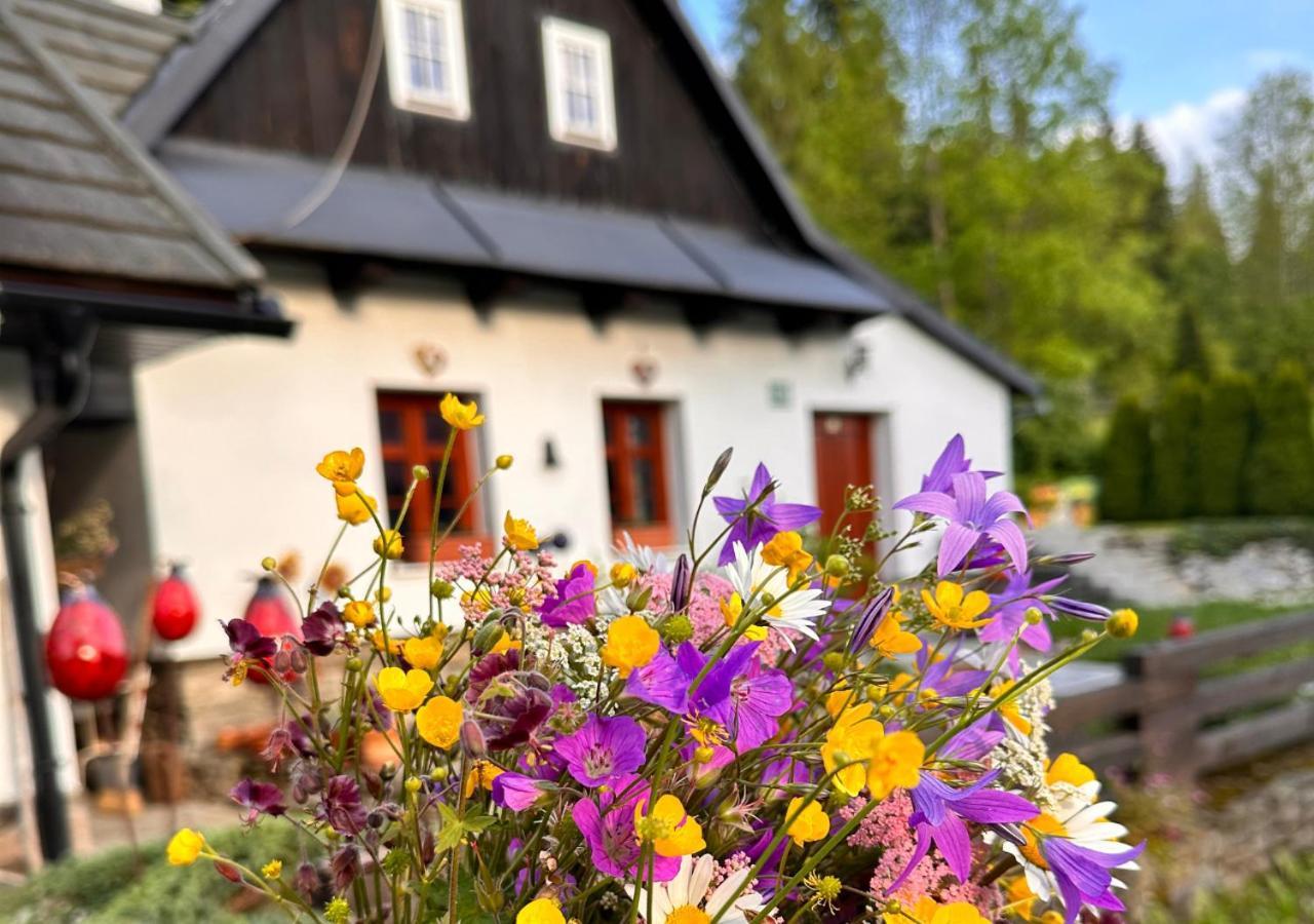 Rozpravkovy Domcek Zvoncek Villa Donovaly Dış mekan fotoğraf